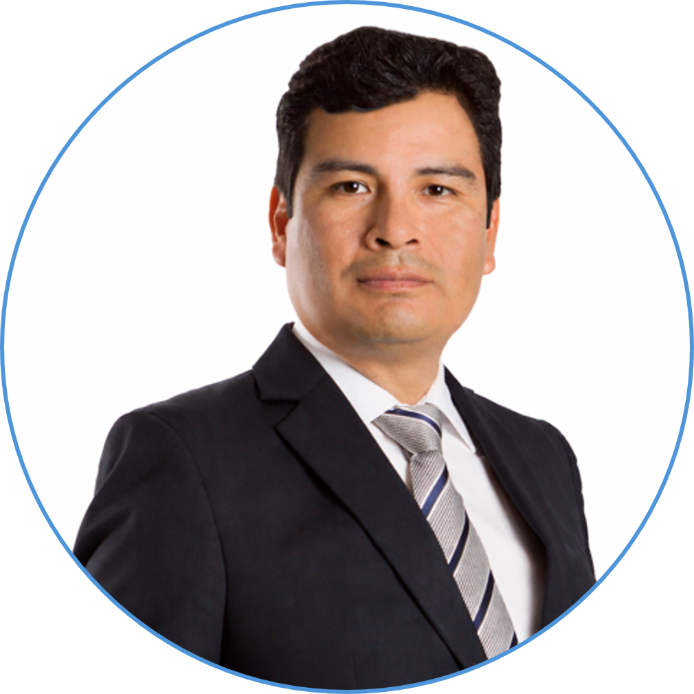 Juan Carlos Chire, PMP®, PMI-RMP®, PMI-PMOCP®        Vicepresidente de Portafolio